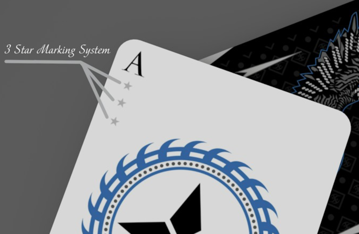 Falcon Playing Cards (Silver Edition) with Foil Box